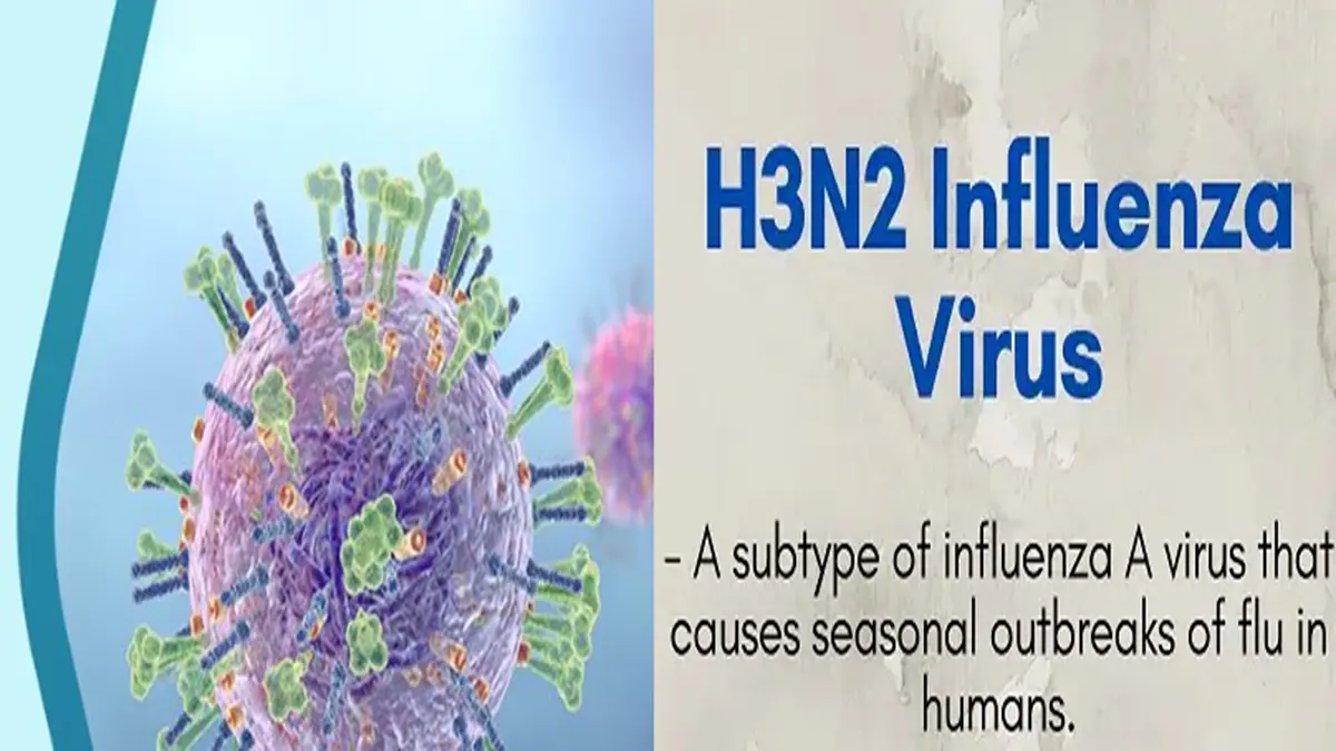 h3n2 flu virus