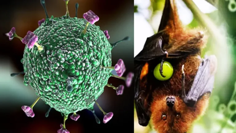 nipah virus symptoms